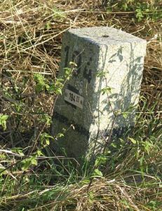 194-ii-d-zijde-snelweg-a7-nieuweschans-2