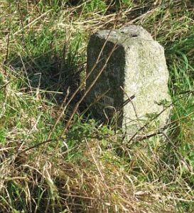 194-iii-n-zijde-snelweg-a7-nieuweschans
