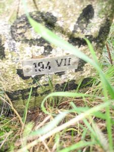 194-vii-n-zijde-snelweg-a7-nieuweschans