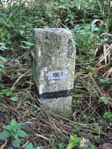 196-ii-in-sloot-begroeiing