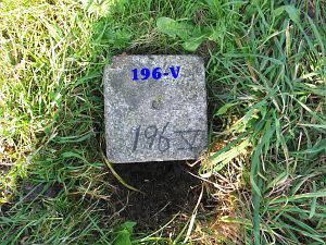 196-v-in-sloot-langs-spoorweg-bij-naoberbrugje