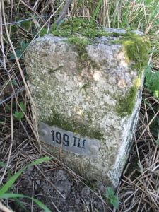 199-iii-westerwoldsche-aa