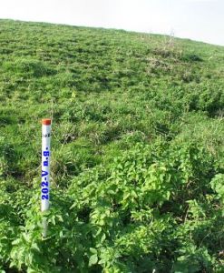 202-v-westerwoldsche-aa-nieuwe-statenzijl-ng