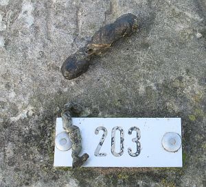 203-platte-steen-nieuwe-statenzijl-detail