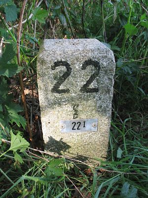 22-i-beuninger-achterveld-punthuizen