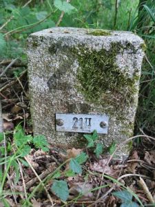 21-ii-lutterzand-puntbeek