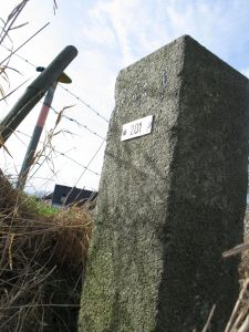 201-n-zijde-mamelis-senserbeek-detail