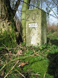 201A-platte-bos-ri-mamelis