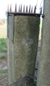 202-d-zijde-platte-bos-nertsenfokkerij