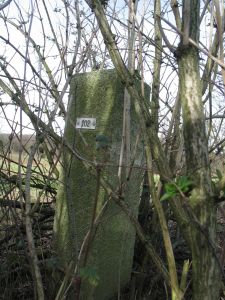 202-n-zijde-platte-bos-nertsenfokkerij