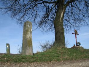 204-n-zijde-platte-bos-omg.-bocholtzerheide