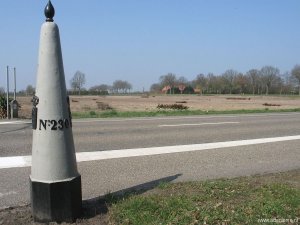 230
