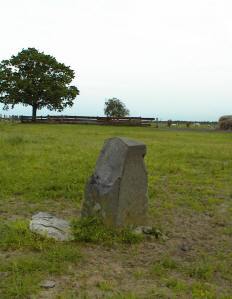230j-foto-peter-dirven