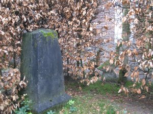 237b-in-tuin-bij-fa-naalden