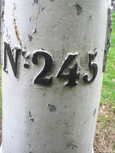 245-detail