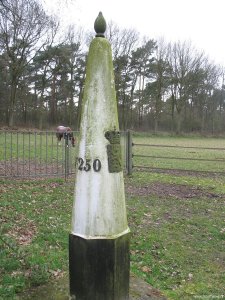 250