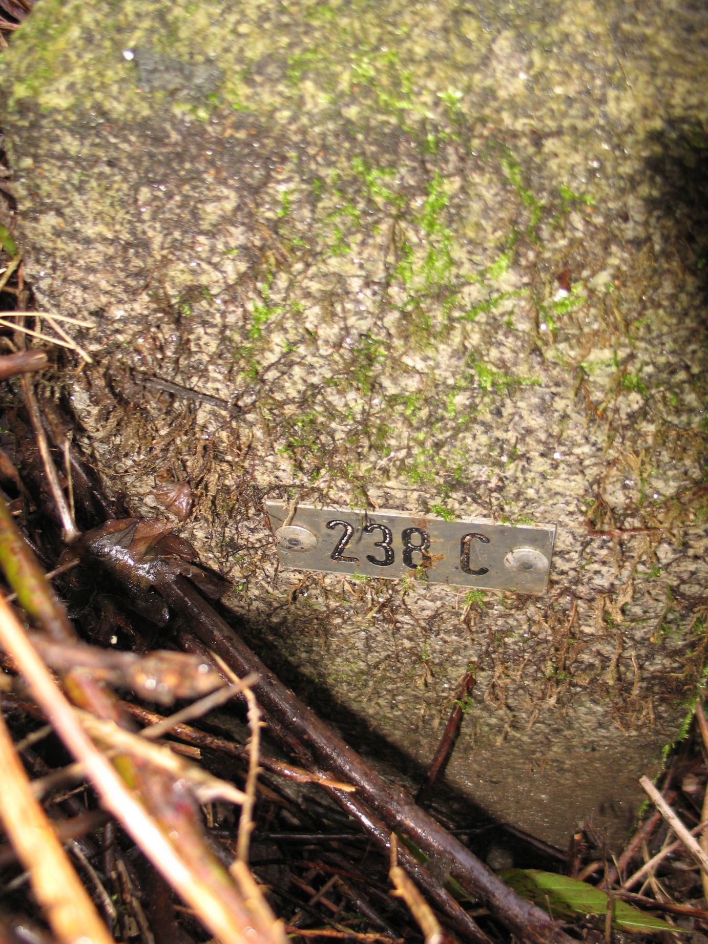 238C n zijde langs worm herzogenrath.jpg