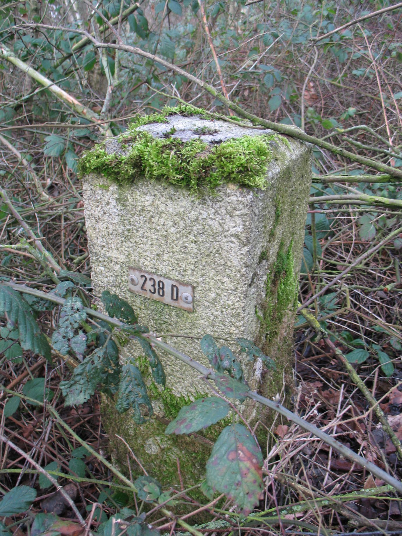 238D d zijde langs worm herzogenrath.jpg