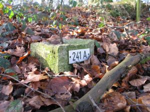 241A omg  marienberg.jpg
