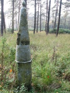 252 gemeentebossen-prive-terrein