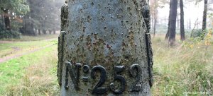 252- gemeentebossen-prive-terrein-detail