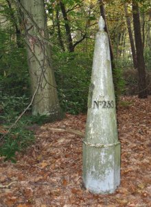 253 gemeentebossen-prive-terrein