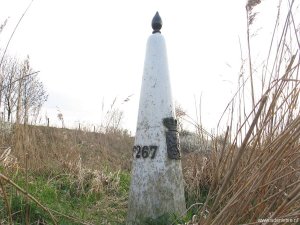 267
