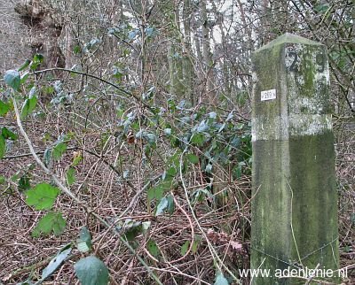 269-d-zijde-op-den-hering-schinveld