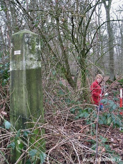 269-n-zijde-op-den-hering-schinveld-lenie
