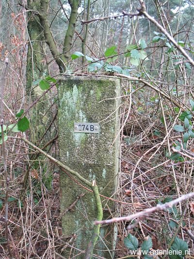 274b-omg-susterseel-jabeeksebos