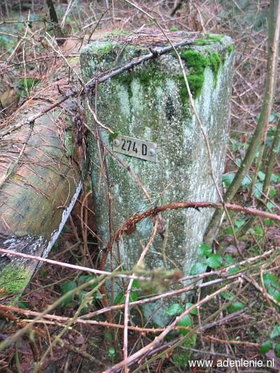 274d-omg-susterseel-jabeeksebos
