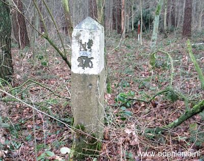 275-omg-susterseel-jabeeksebos