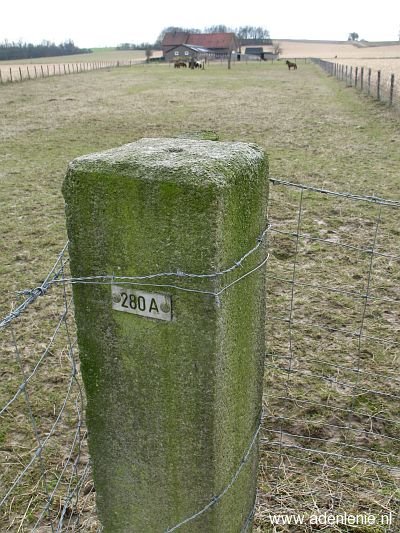 280a-jabeek-bingelrade