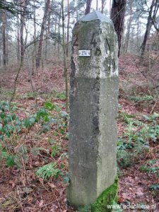 274-omg-susterseel