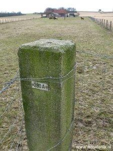 280a-jabeek-bingelrade