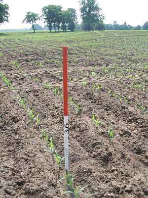 36-schotbroek-diep-in-de-grond