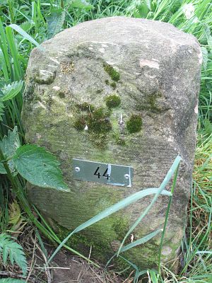 44-d-zijde-rammelbeek-nordhorn