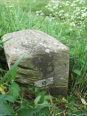 45-n-zijde-rammelbeek-nordhorn