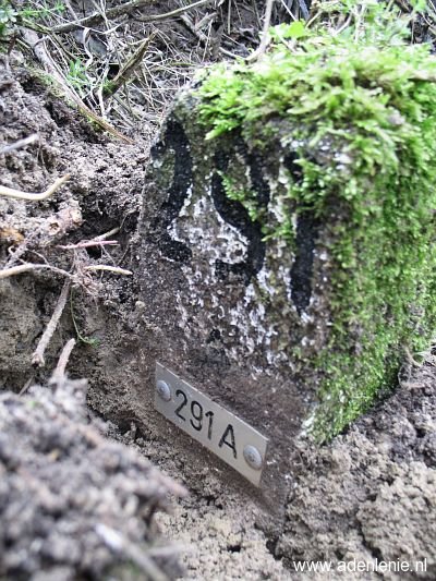 291a-nieuw-windraak-hillensberg-2