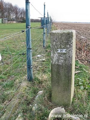 317-omgaan-reijans