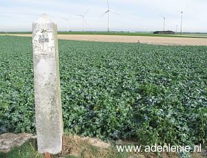 325w-omg-saeffelen-koningsbosch