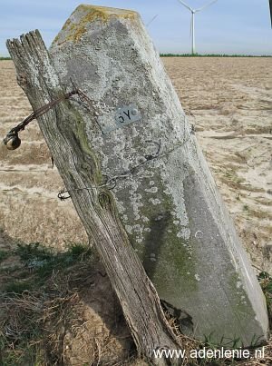 325y-omg-saeffelen-koningsbosch
