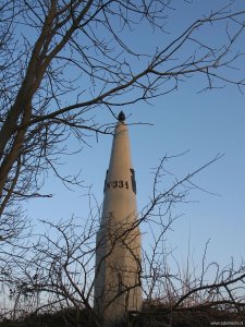 331