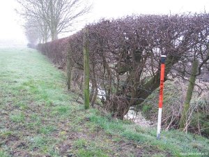 332a-niet-gevonden