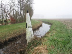 335