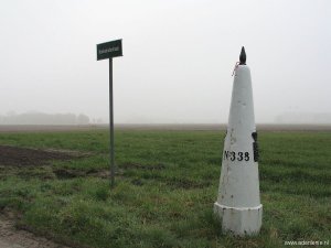 338