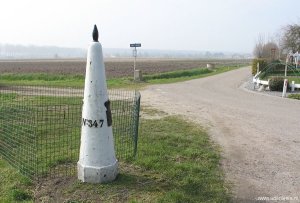 347
