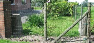 349-grenspaal-eede-en-betonnen-palen-in-tuin