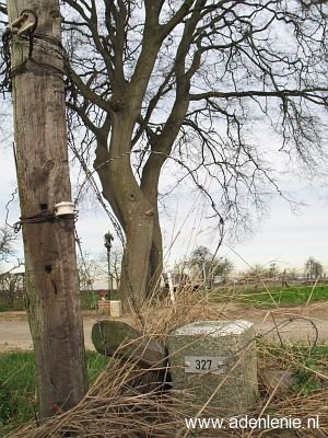 327-d-zijde-koningsbosch