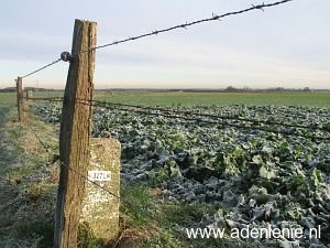 327l-omg-koningsbosch